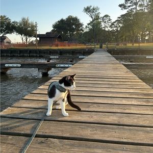 Meet your Posher, Dany